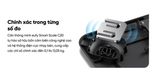 Cân Điện Tử Thông Minh eufy C20 - Hàng Chính Hãng | Phân Tích 16 Chỉ Số Cơ Thể, Kết Nối App EufyLife - Hình ảnh 9
