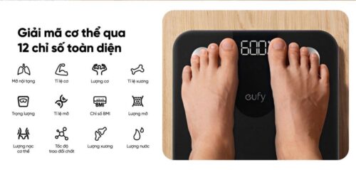 Cân Điện Tử Thông Minh Eufy A1 - Theo Dõi Sức Khỏe Toàn Diện, Chính Xác - Hình ảnh 5